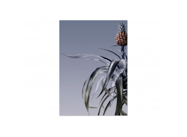 Poster Pina Colada A3