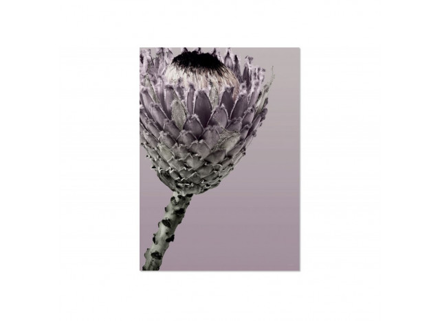 Poster In Between A3