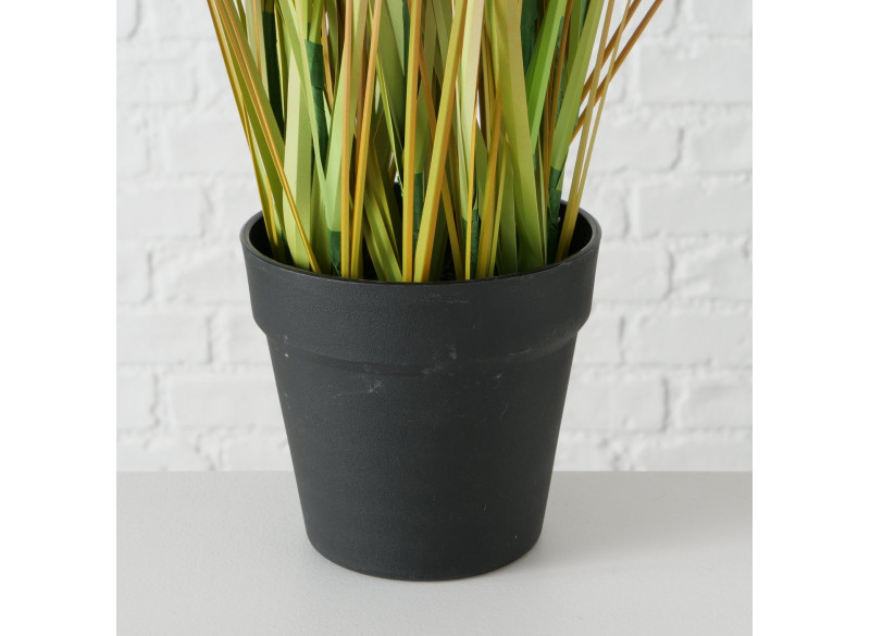 Græs H98cm Onion