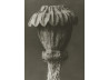 Plakat 30x40cm Papaver orientale