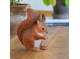 DecoAnimal Squirrel