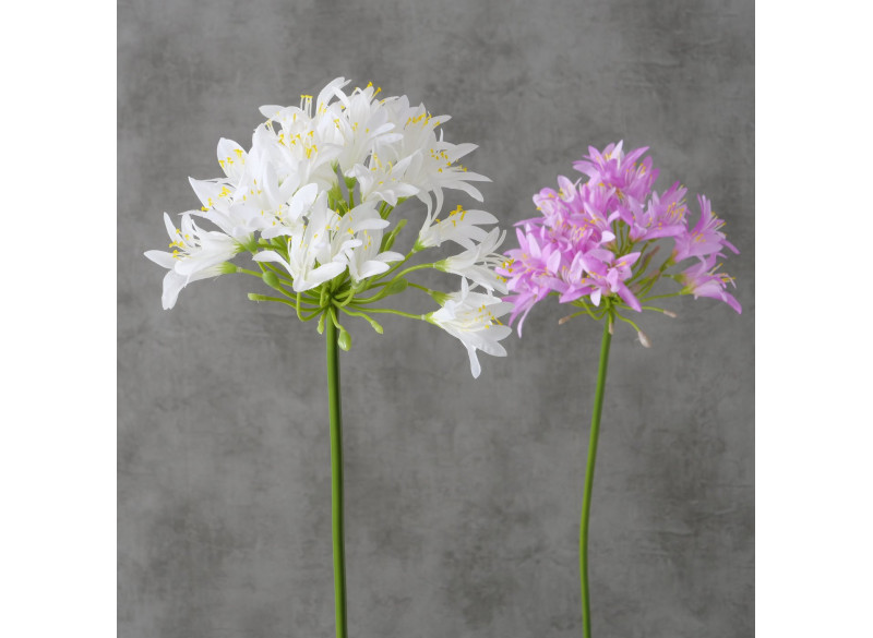 Lotus blomst Lilla-Hvid 80cm