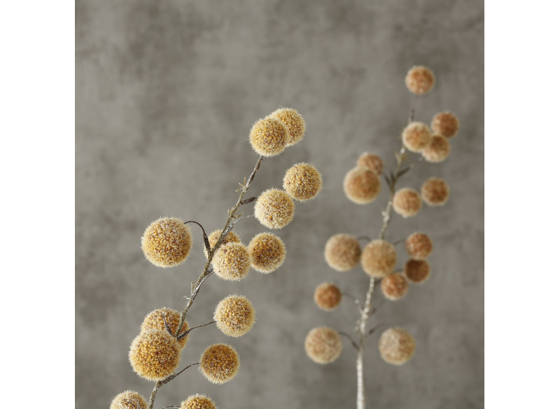 Gren mbolde beige H71 cm