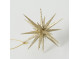 Stjerne Ornament 2-p Guld