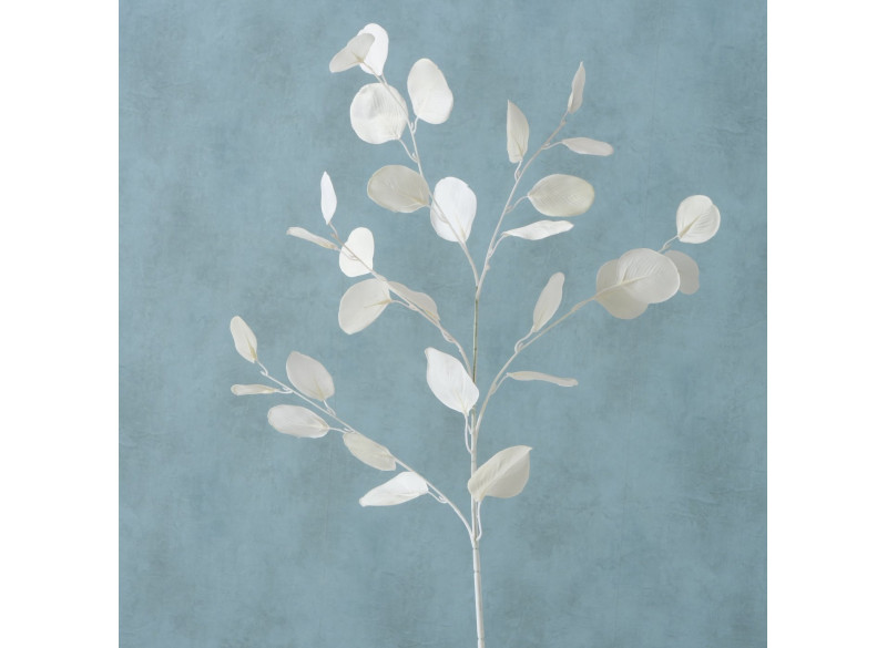 Eucalyptus Deko Hvid