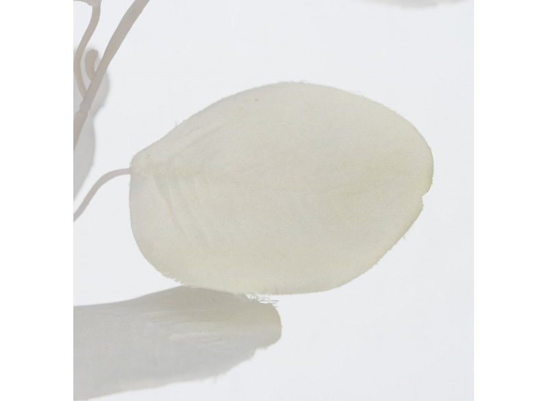 Eucalyptus Deko Hvid