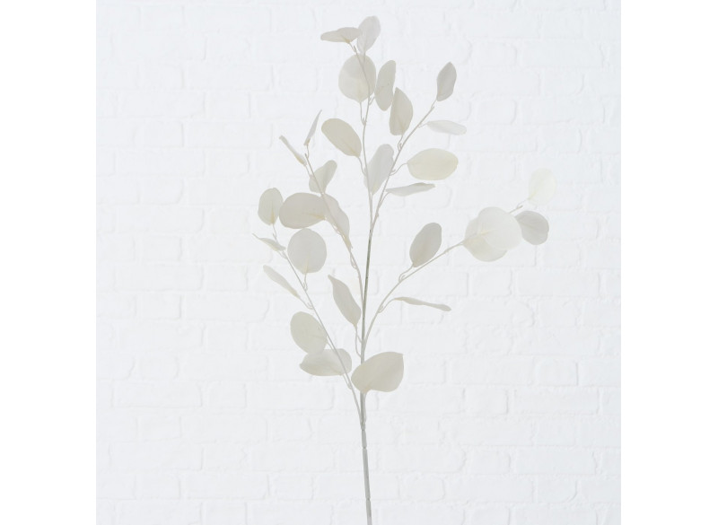 Eucalyptus Deko Hvid