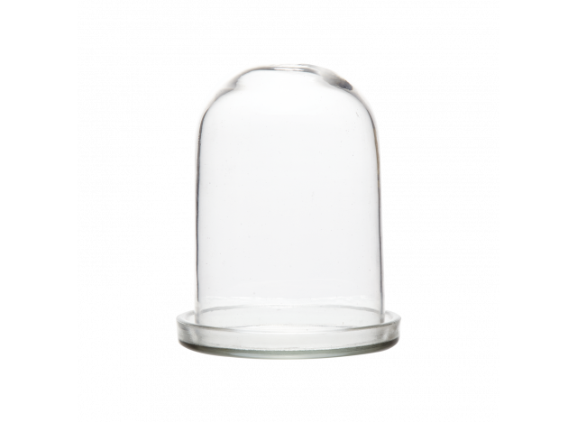 Bell Jar Glass w glass bottom
