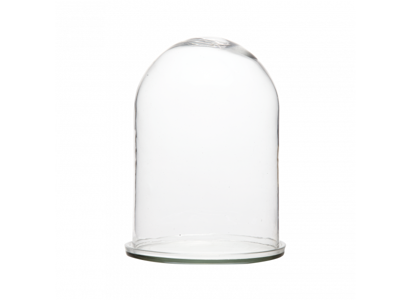 Bell Jar Glass w glass bottom