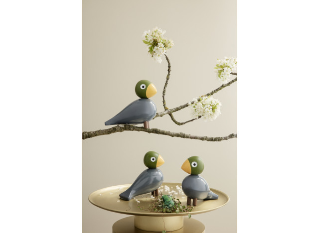 Sangfugl, Nattergal bøgetræ