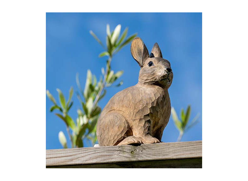 Deco Animal Wild Rabbit