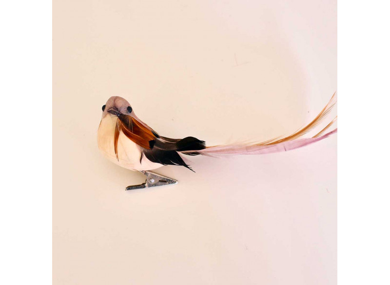 Bird RoseBrown w clip 13 cm