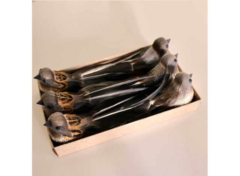 Fugl Brun 3-pak i æske