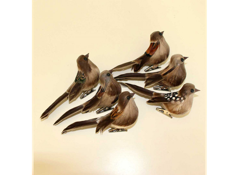 Fugl Brun mix 6-pak Gaveæske