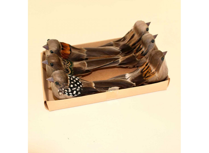 Fugl Brun mix 6-pak Gaveæske