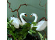 Svane ornament med fjer 10cm
