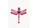 Wall deco Ruby Dragonfly - mini