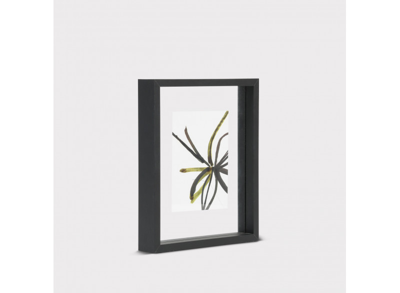 Frame Aesthetic Black Oak-veneer