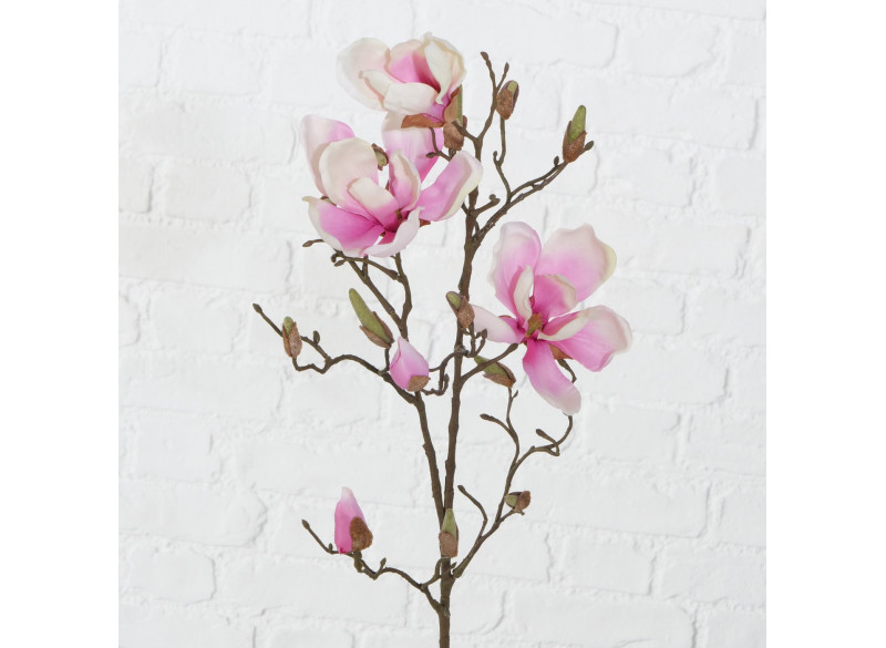 Magnolia Elvina Rosa H89cm