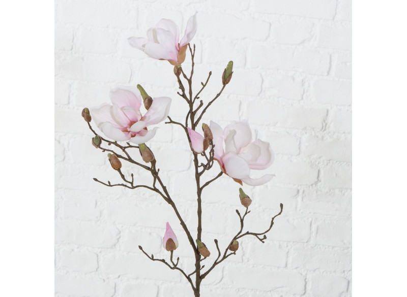 Magnolia Elvina Lyserød H89cm