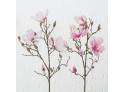 Decorative branch Magnolie, H 89 cm