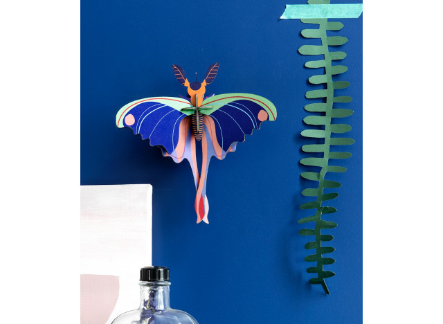 Wall deco Blue Comet Butterfly