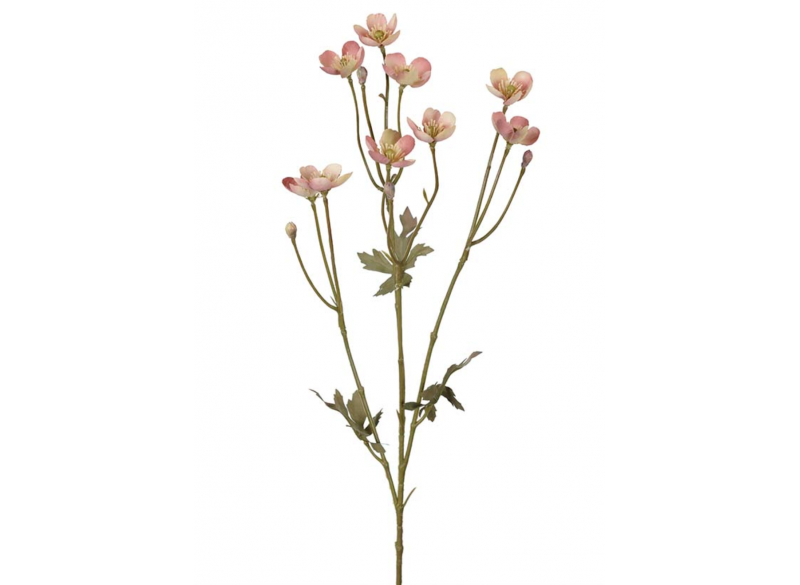 Smørblomst 60cm Lila