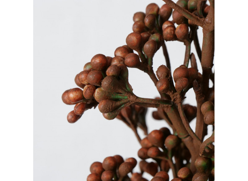 Deko Acacia H54cm Brun