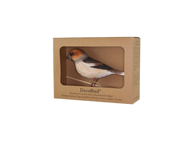Decobird Hawfinch