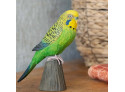 Decobird Budgerigar