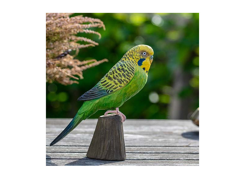 Decobird Budgerigar