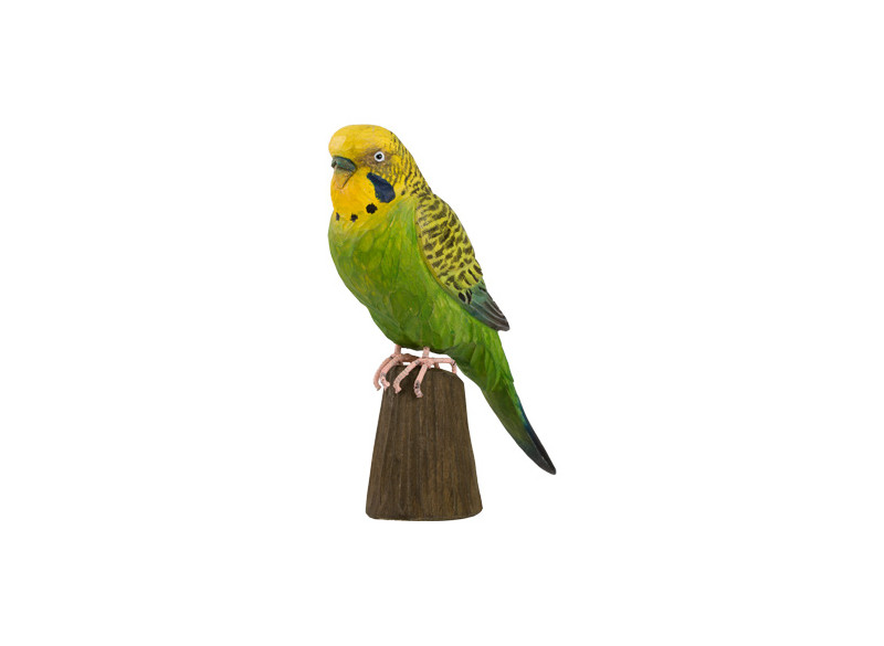 Decobird Budgerigar