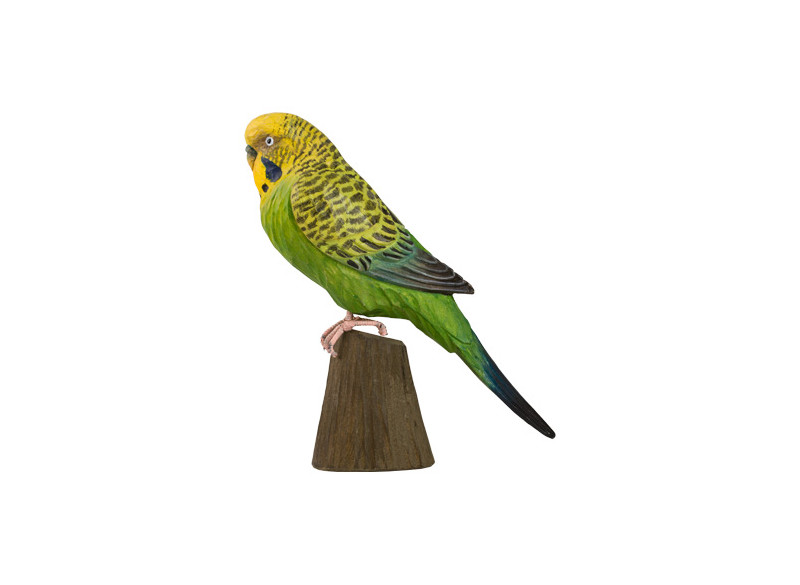 Decobird Budgerigar