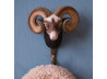Animal Hook Bighorn Sheep