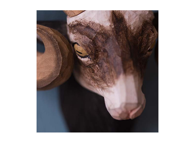 Animal Hook Bighorn Sheep