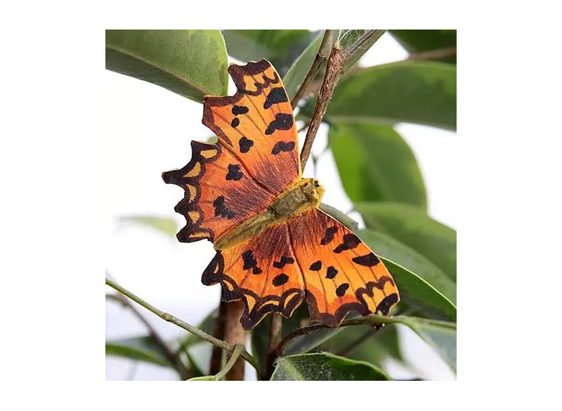 Magnet Butterfly Orange