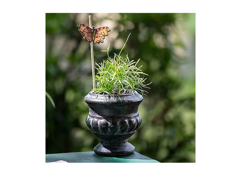 Magnet Butterfly Orange