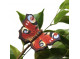 Magnet Butterfly Red