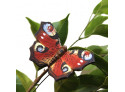 Magnet Butterfly Red