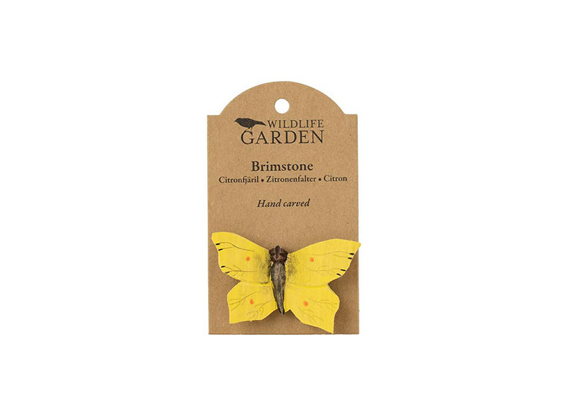 Magnet Butterfly Lemon butterfly