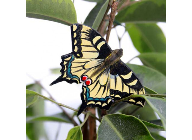 Magnet Macaon Butterfly