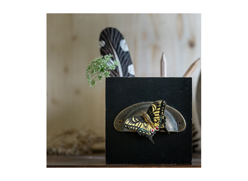 Magnet Macaon Butterfly