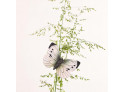 Magnet Cabbage Butterfly