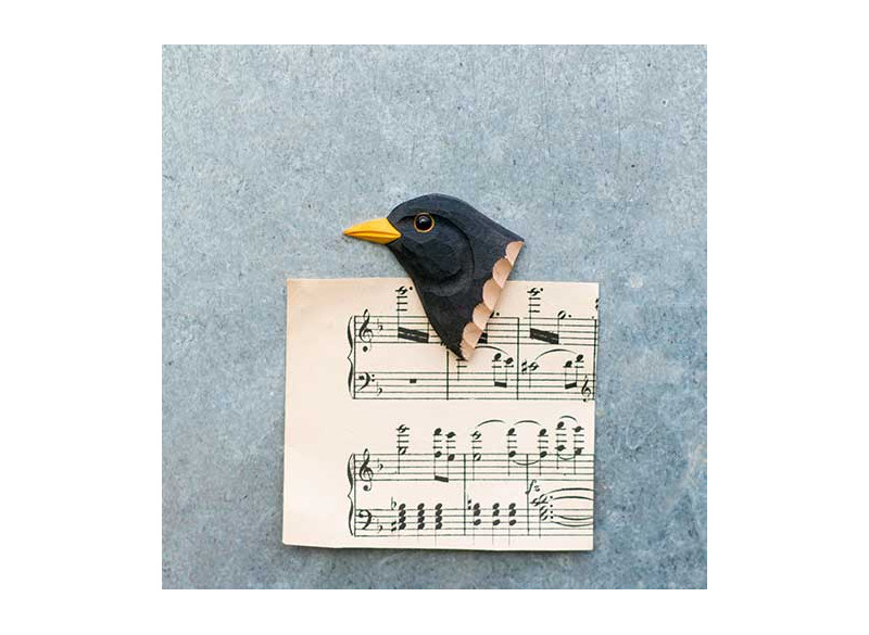 Magnet Black Bird