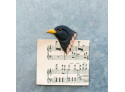 Magnet Black Bird