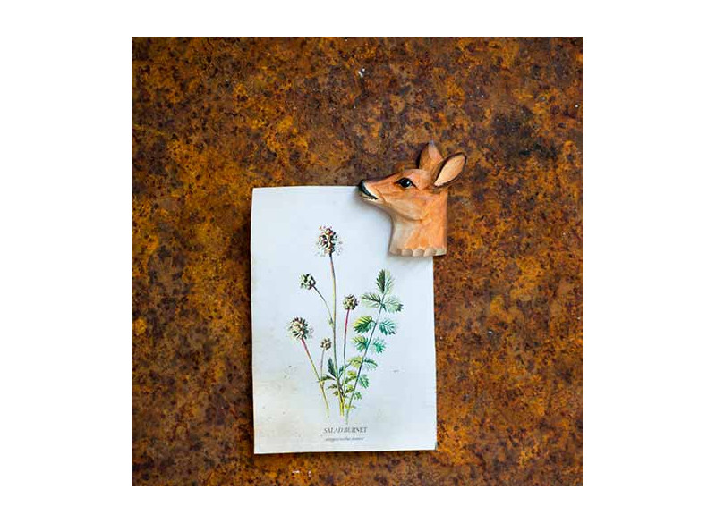 Magnet Roe Deer