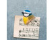 Magnet Blue Tit