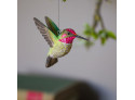 Dekobird Hummingbird 2pc