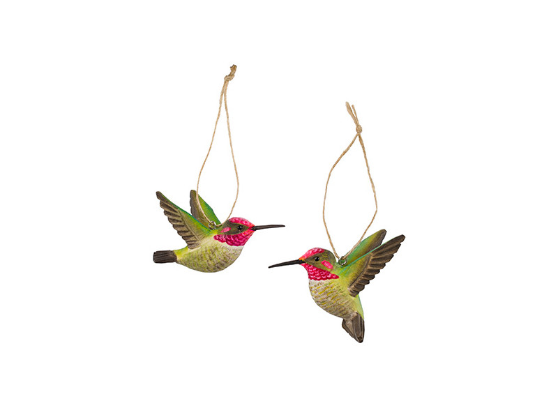Annas Hummingbrid -2pc