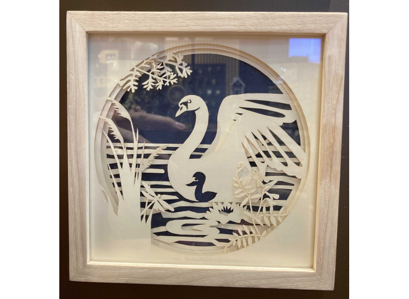 Picture 3D w frame - Ugly Duckling